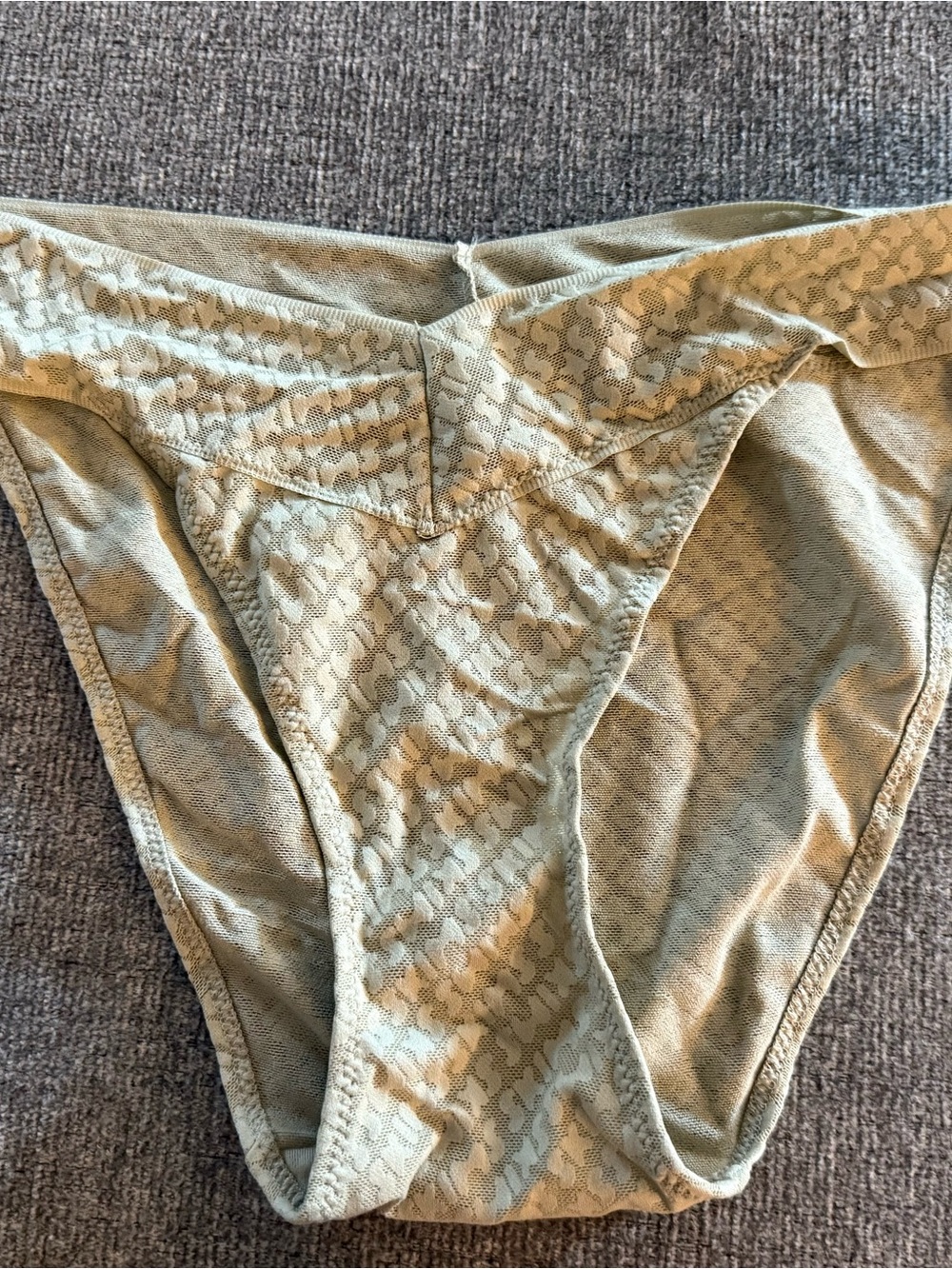 SKIMS Women's Bikini Briefs in Sage